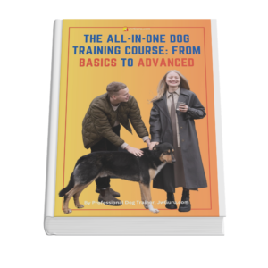 The All-in-One Dog Training Course From Basics to Advanced
