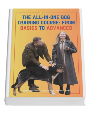The All-in-One Dog Training Course From Basics to Advanced