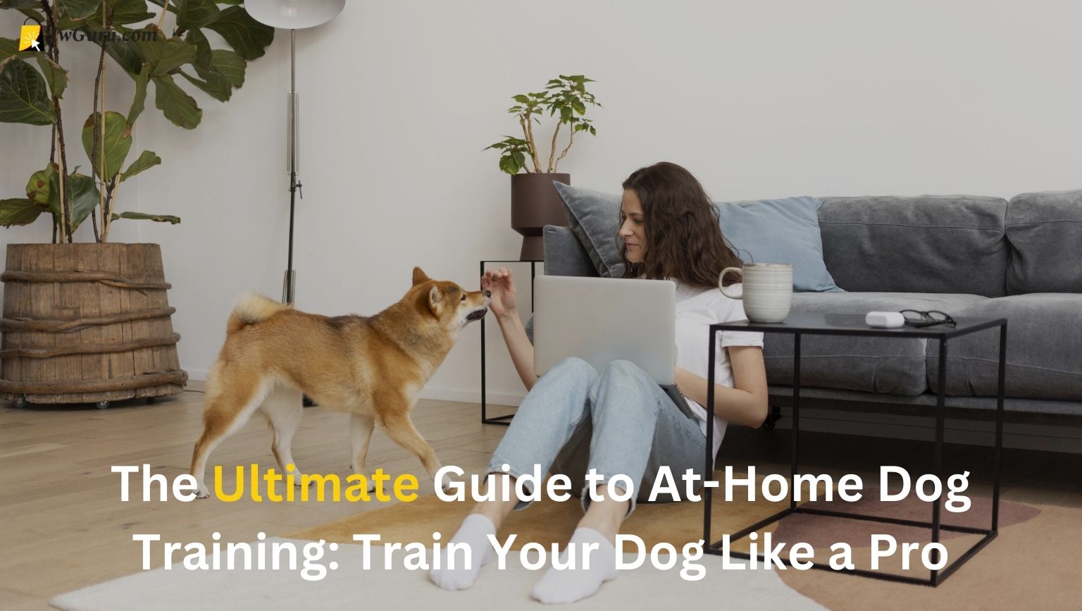 Read more about the article At home dog training