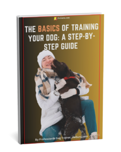 The Basics of Training  Your Dog