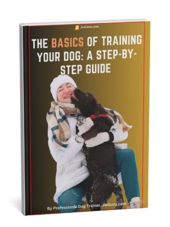The Basics of Training  Your Dog