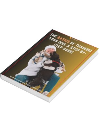 The Basics of Training  Your Dog