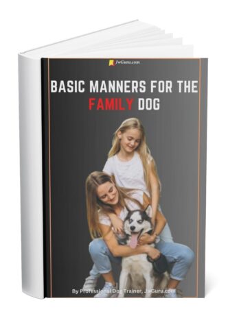 Basic Manners for the Family Dog