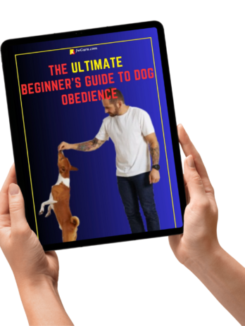 The Ultimate Beginner’s Guide to Dog Obedience