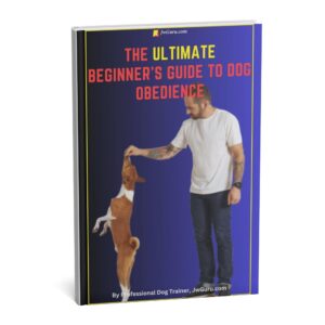 The Ultimate Beginner’s Guide to Dog Obedience