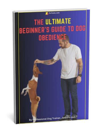 The Ultimate Beginner’s Guide to Dog Obedience