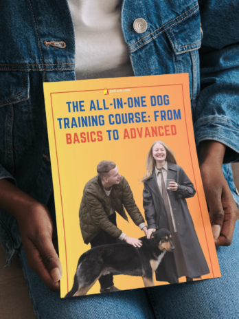 The All-in-One Dog Training Course From Basics to Advanced