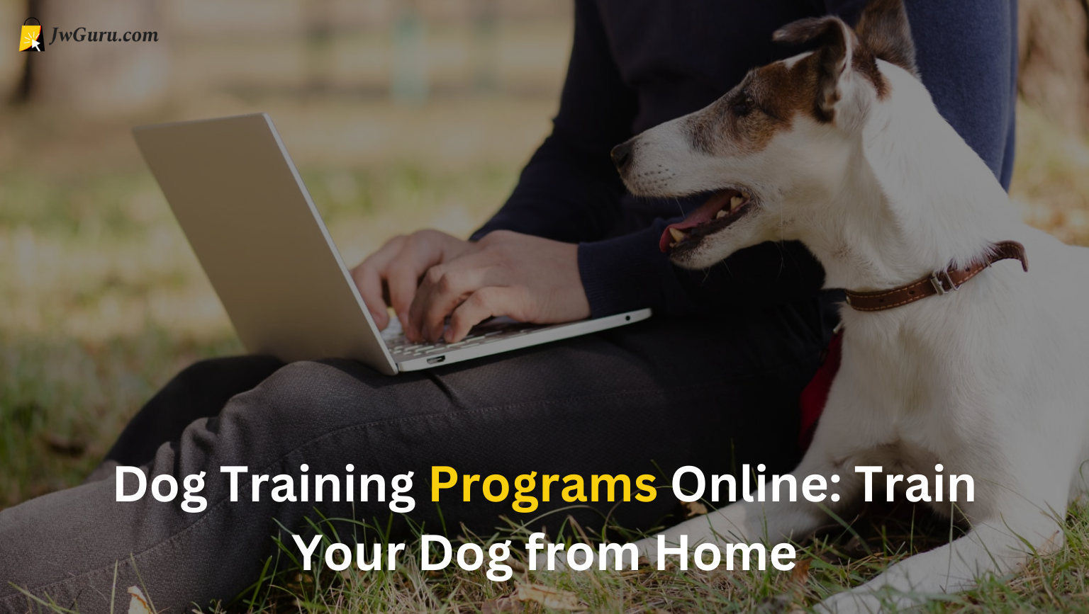 Read more about the article Dog Training Programs Online