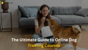 Read more about the article Dog Training Courses Online